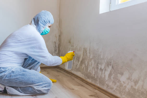 Mold Remediation specialist working in Mendota
